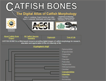 Tablet Screenshot of catfishbone.acnatsci.org